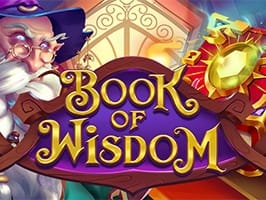 Book Of Wisdom screenshot