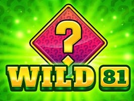 Wild 81 screenshot